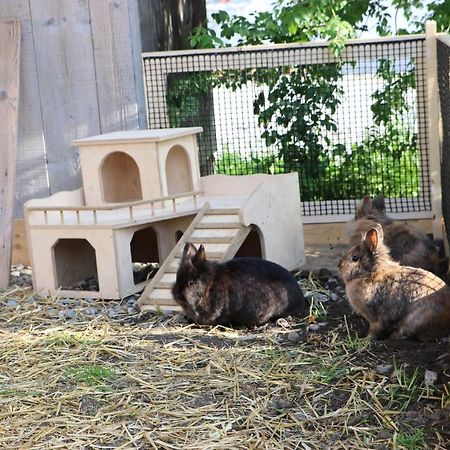Ferienbauernhof Moosbrugger Διαμέρισμα Schoppernau Εξωτερικό φωτογραφία