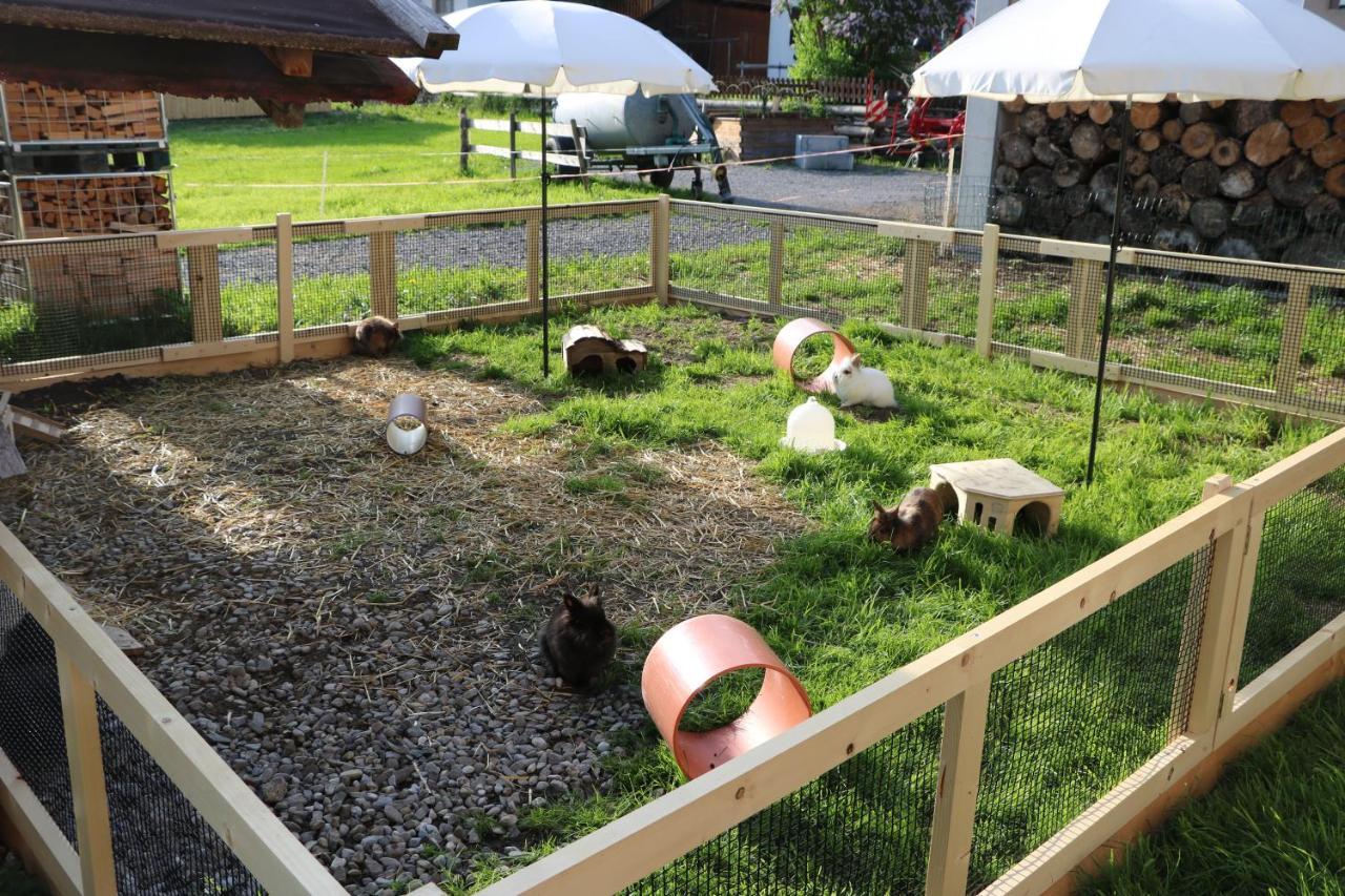 Ferienbauernhof Moosbrugger Διαμέρισμα Schoppernau Εξωτερικό φωτογραφία