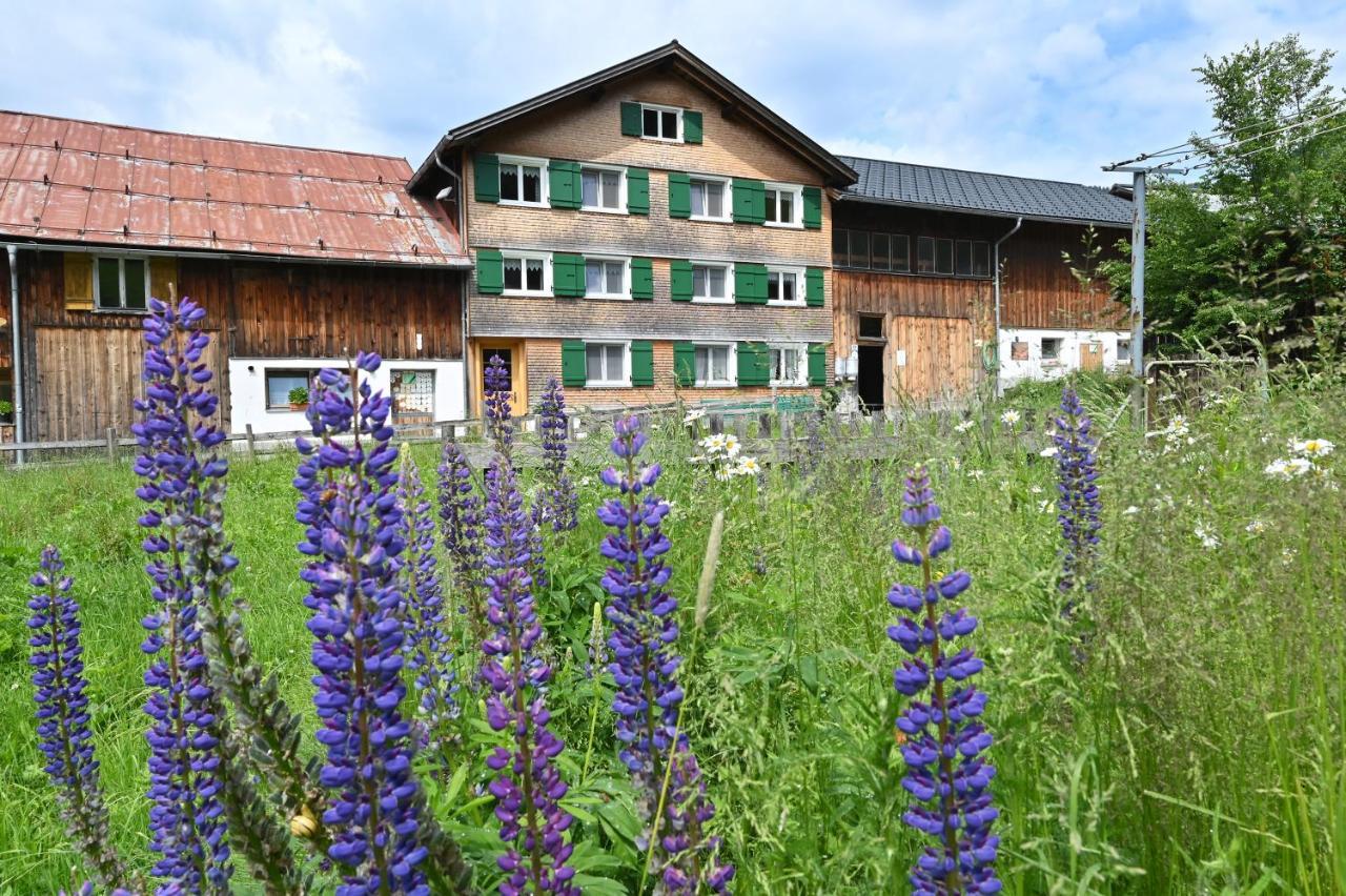 Ferienbauernhof Moosbrugger Διαμέρισμα Schoppernau Εξωτερικό φωτογραφία