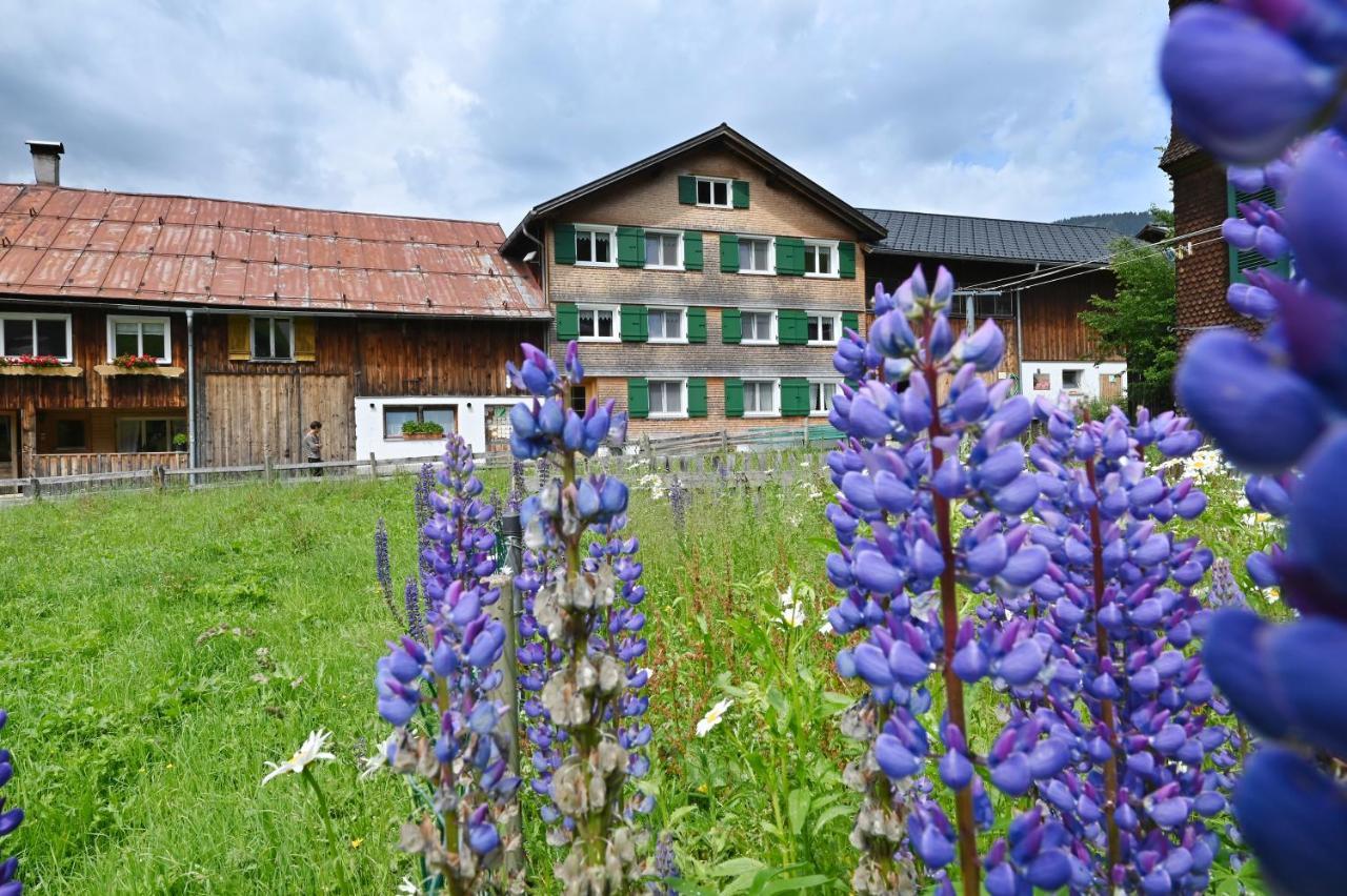 Ferienbauernhof Moosbrugger Διαμέρισμα Schoppernau Εξωτερικό φωτογραφία